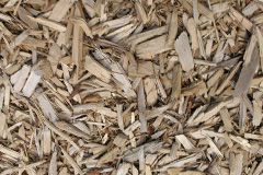 biomass boilers Llanmorlais